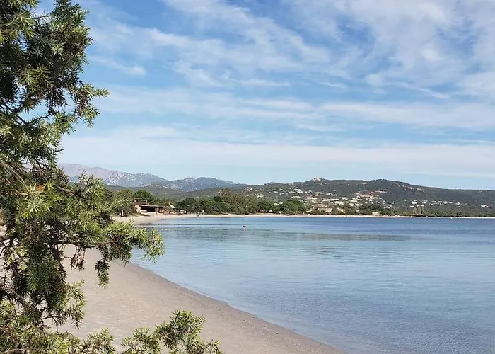T3 Madiana, Climatisé, Piscines, Resto, 5mn Plages Apartamento Lecci