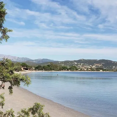T3 Madiana, Climatise, Piscines, Resto, 5mn Plages Apartment Lecci
