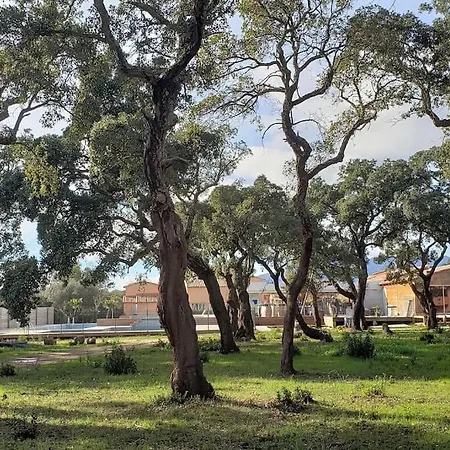 T3 Madiana, Climatise, Piscines, Resto, 5mn Plages * 里奇