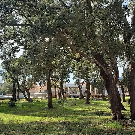 T3 Madiana, Climatise, Piscines, Resto, 5mn Plages *